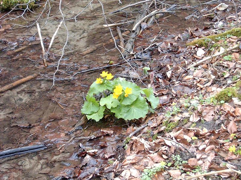 2012.04.14. 0038.jpg